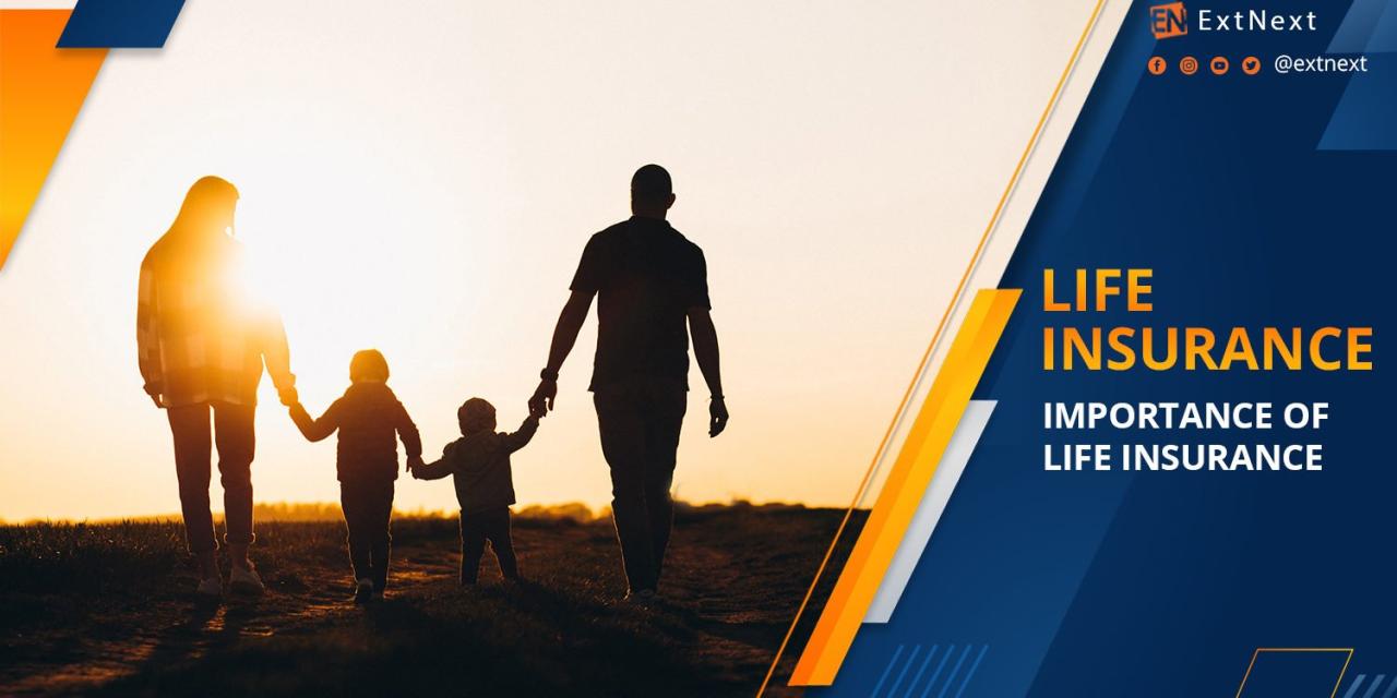 The importance of life insurance - EXTNEXT